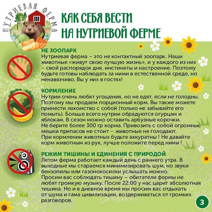 Заголовок